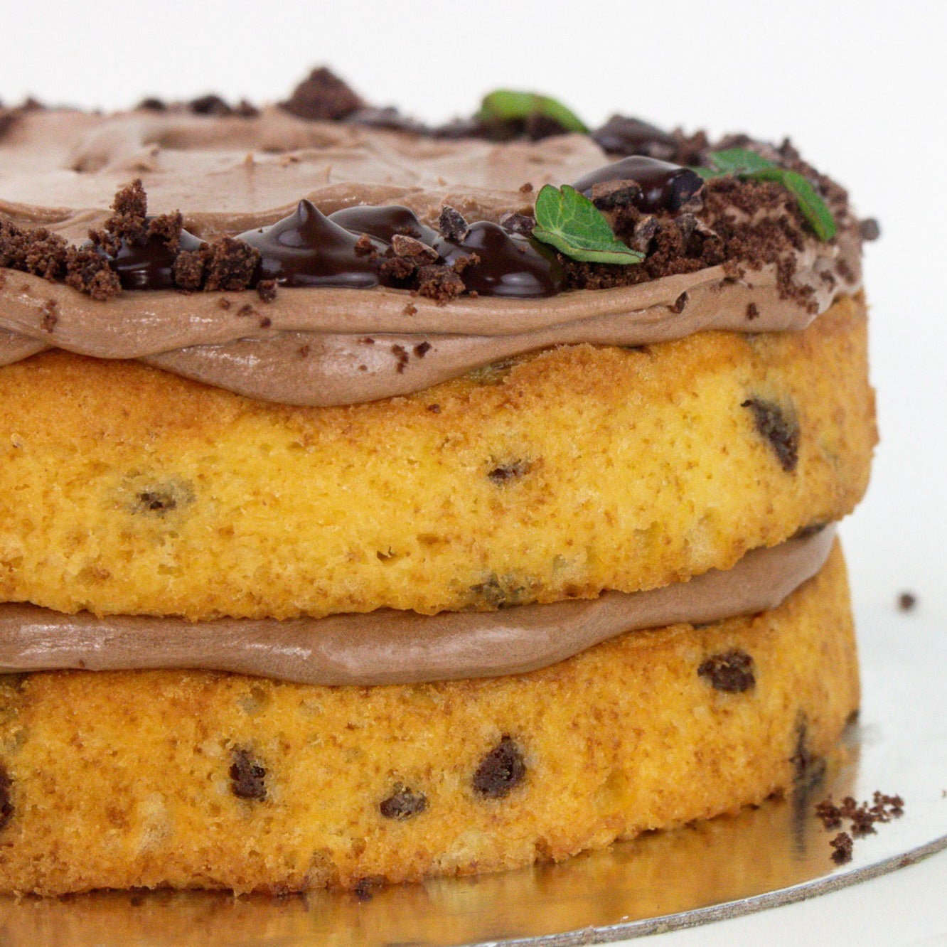 close up image of a two tiered vanilla cake with chocolate chips and a chocolate icing