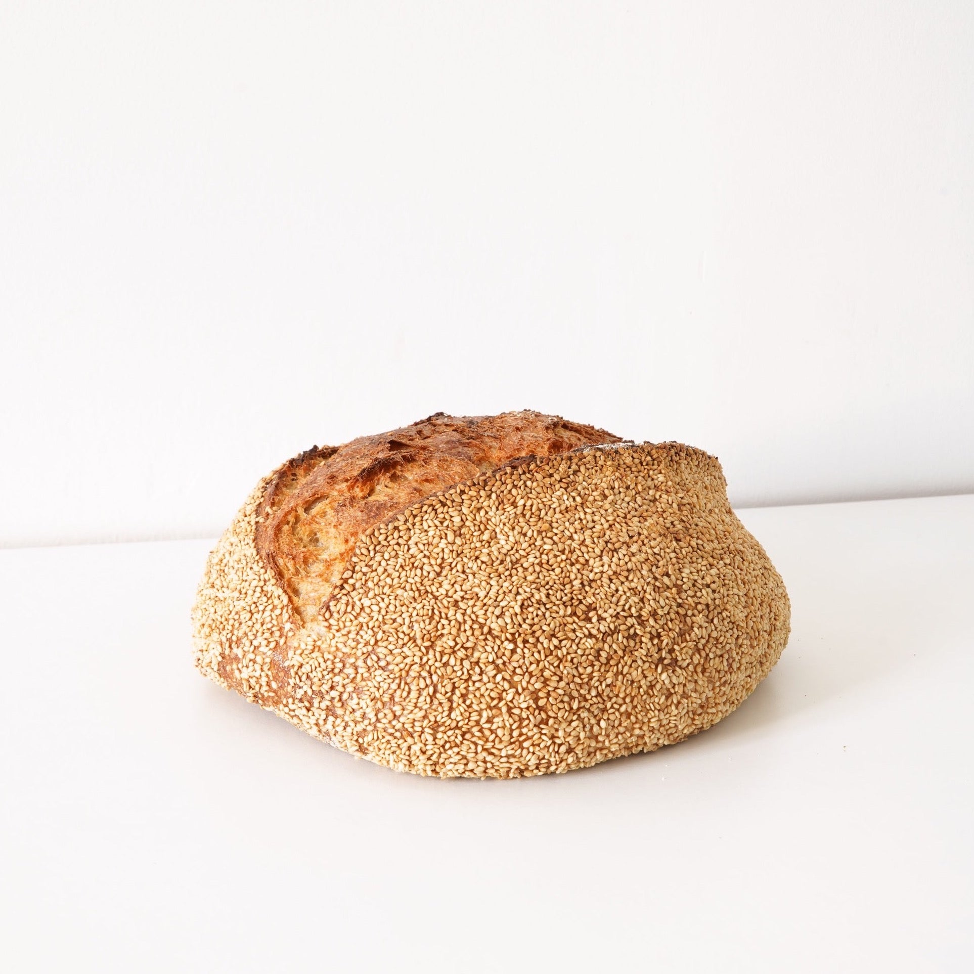 full image a light brown sourdough loaf that has been covered fully in sesame seeds