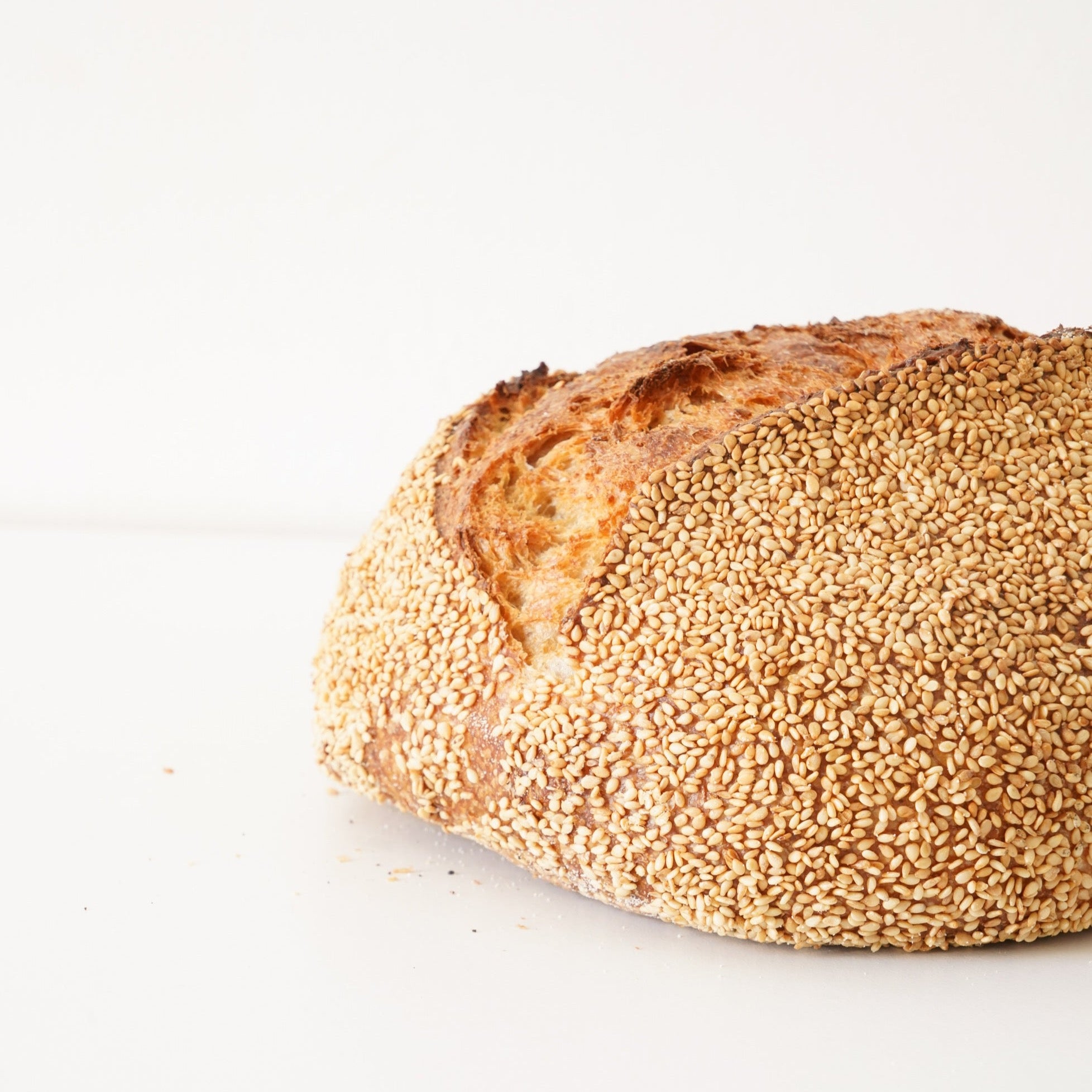 close up image of a domed sourdough loaf covered in sesame seeds 